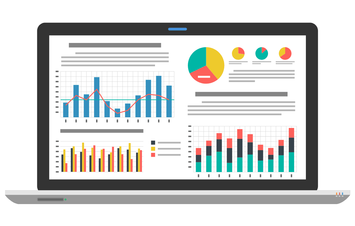 60+ Custom Reports